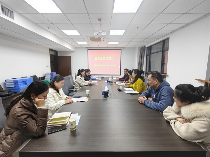 集团公司开展党建重点工作督查